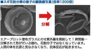 室内に舞う花粉を分解・除去して快適な居住空間をつくります。