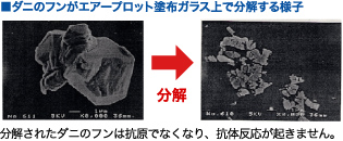 アトピー性皮膚炎の原因物質であるダニのフンや死骸を分解・除去します。