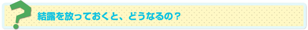 結露を放っておくと、どうなるの？